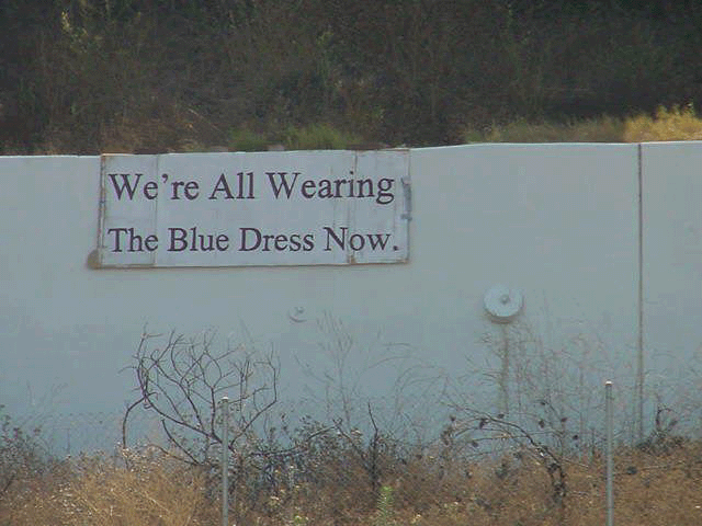 Poster on Freeway reading 'We‘re All Wearing The Blue Dress Now.'